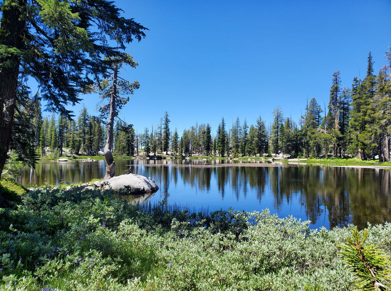 Willow Lake